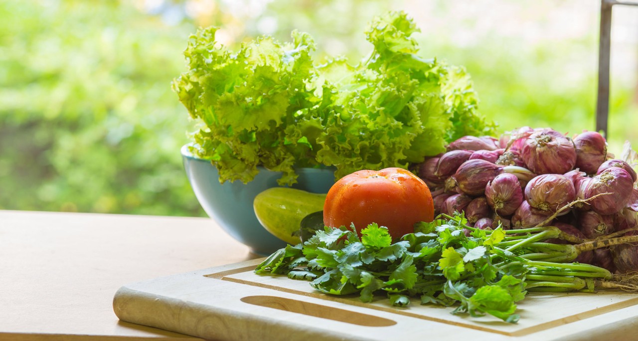 servizi di ristorazione